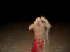 Sand Monster.JPG (595140 bytes)