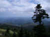 Mountain Top 1.JPG (602663 bytes)